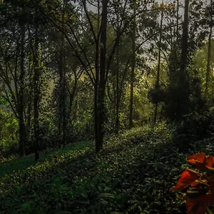 Southern Panorama Indriya & 5* Munnar